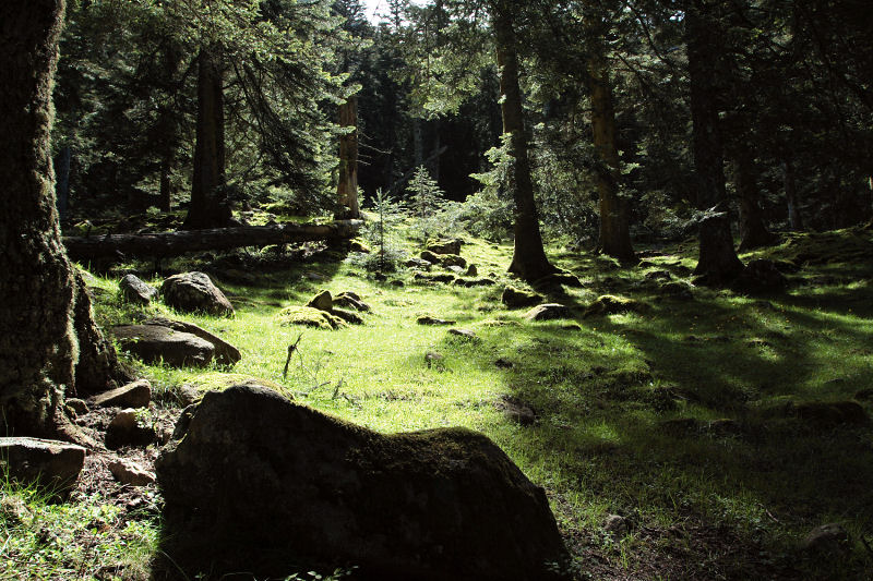 VallÃ©e de Lutour